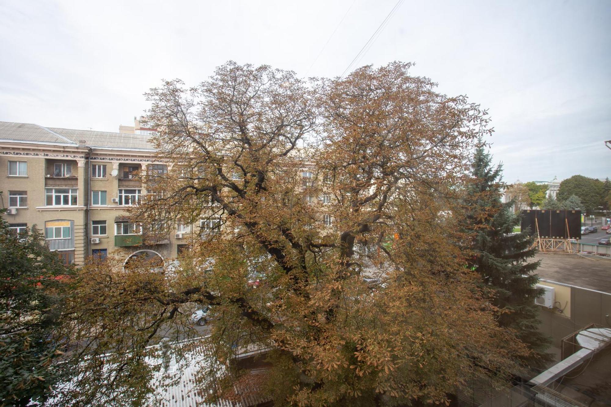 Royal Apartment On Pushkinskaya Charków Zewnętrze zdjęcie